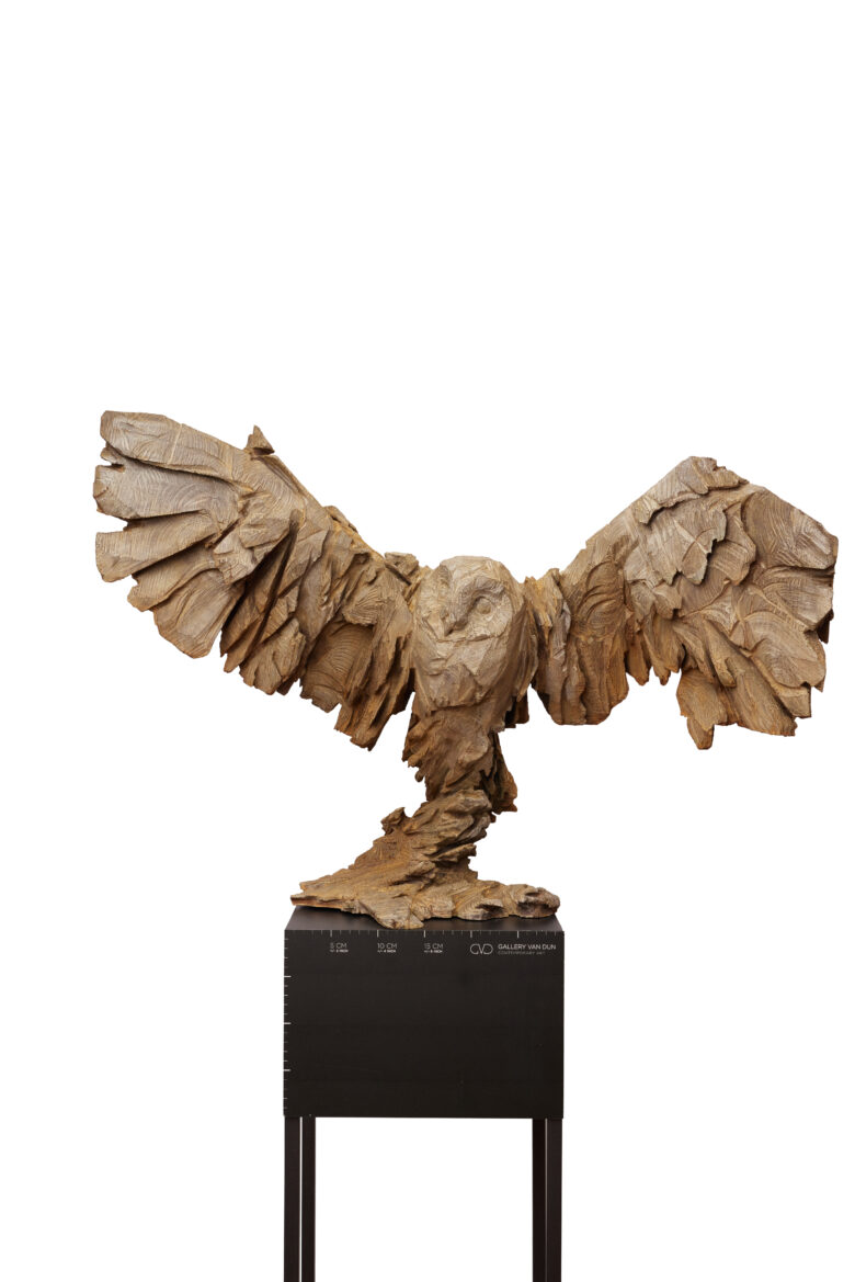 Jürgen Lingl - Owl Rising