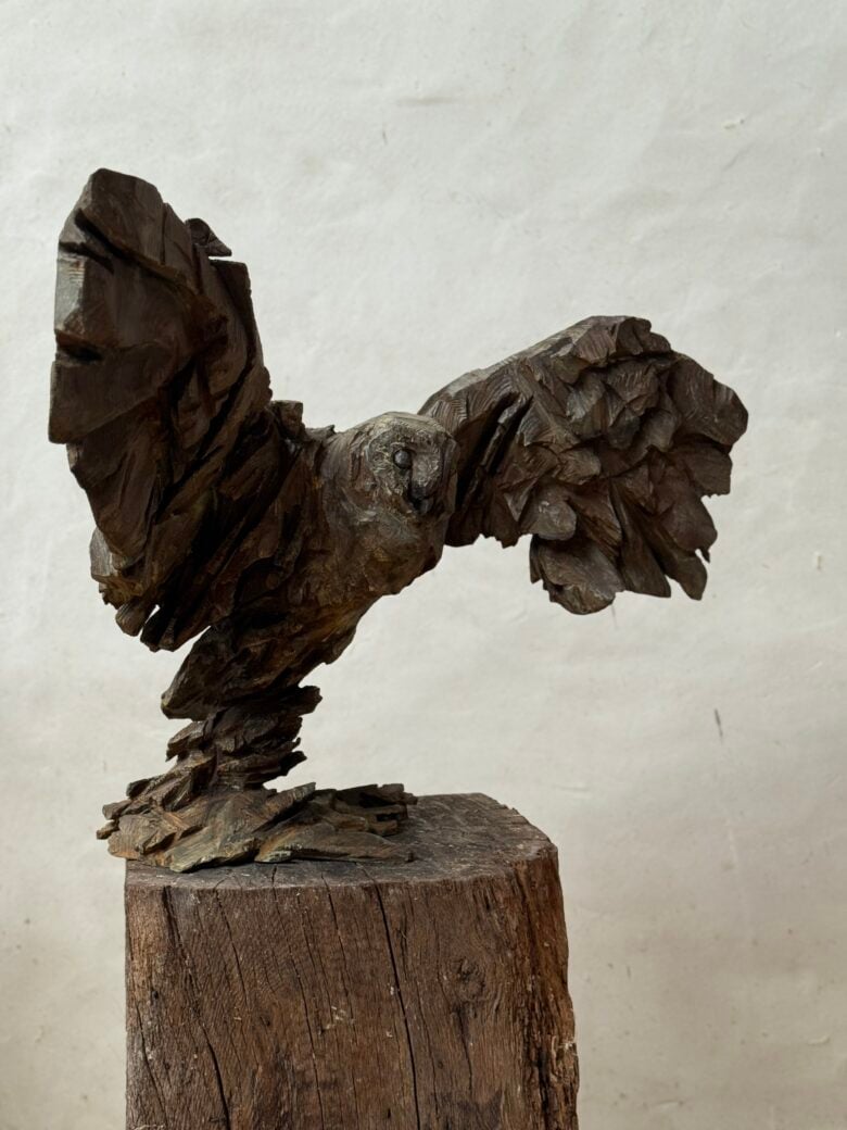 Jürgen Lingl - Owl Rising