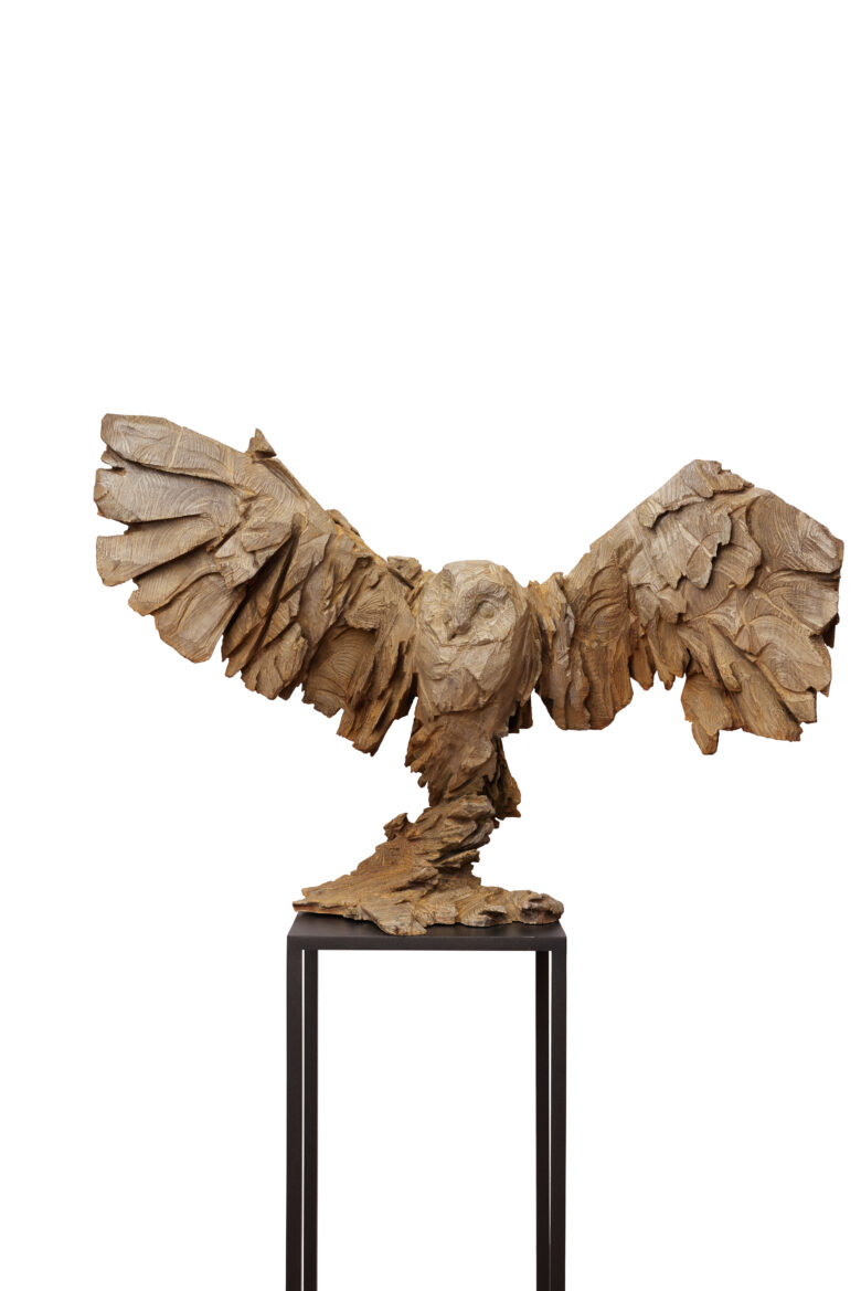 Jürgen Lingl - Owl Rising