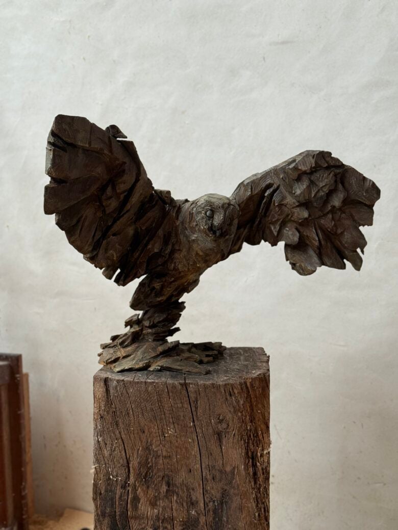 Jürgen Lingl - Owl Rising