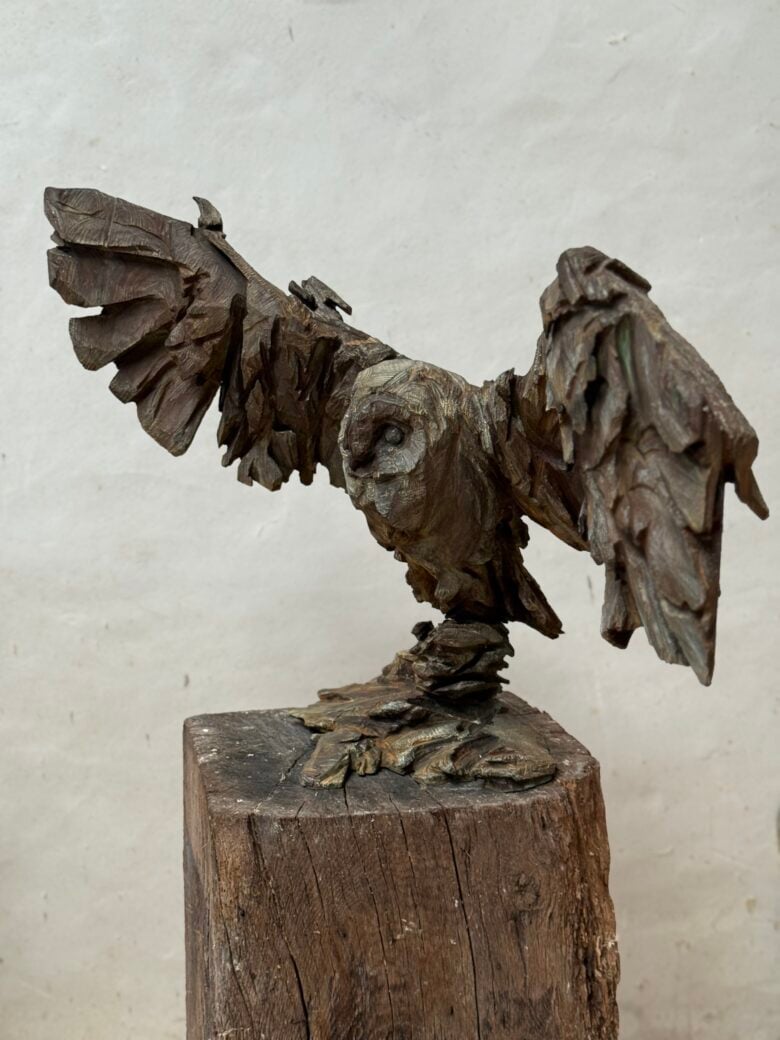 Jürgen Lingl - Owl Rising