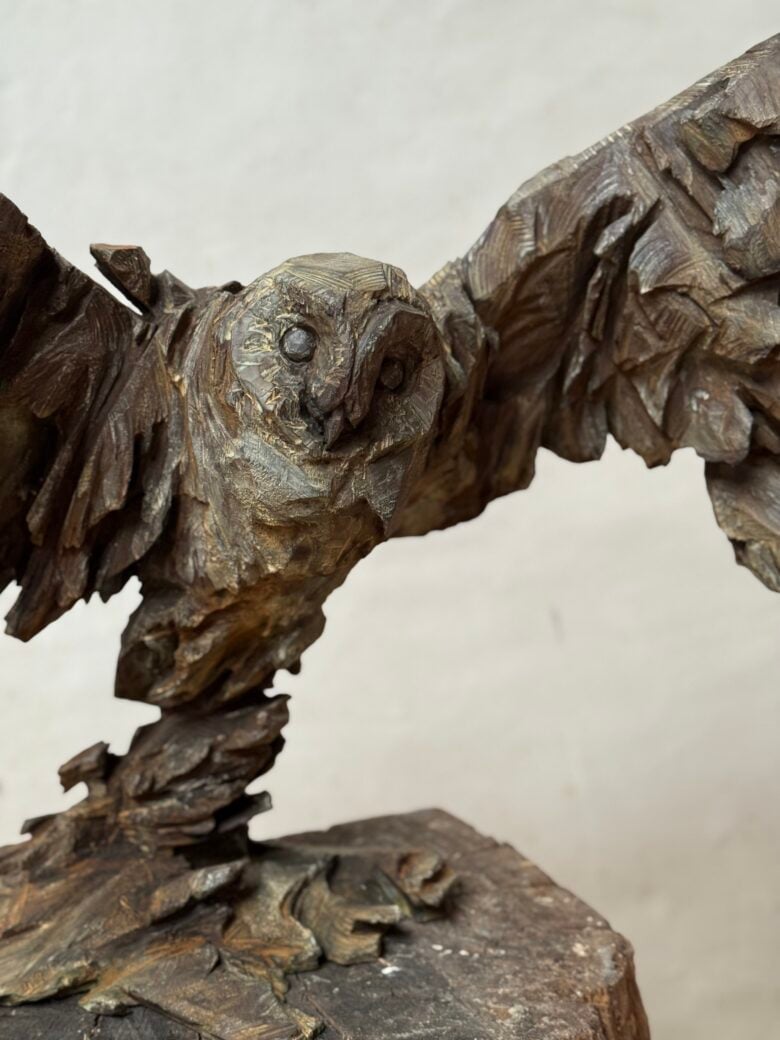 Jürgen Lingl - Owl Rising