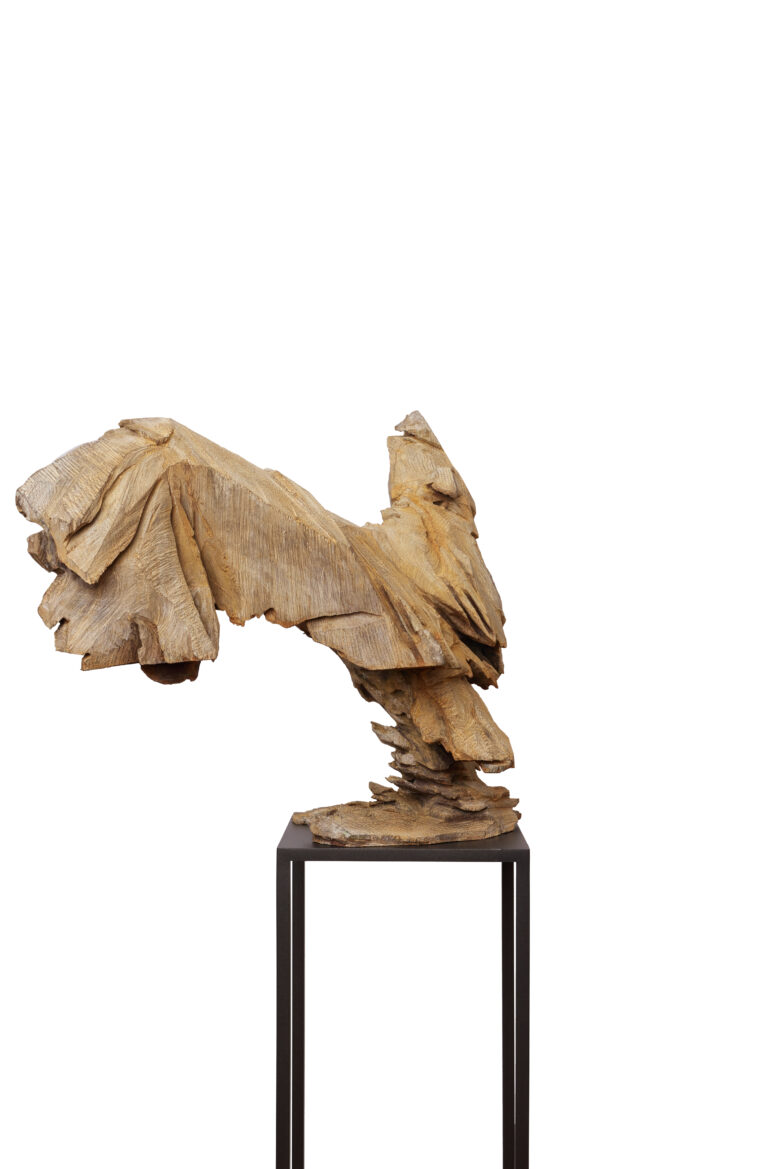 Jürgen Lingl - Owl Rising