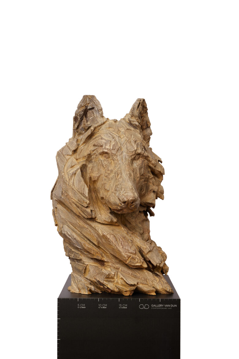 Jürgen Lingl - Stormy Wolf
