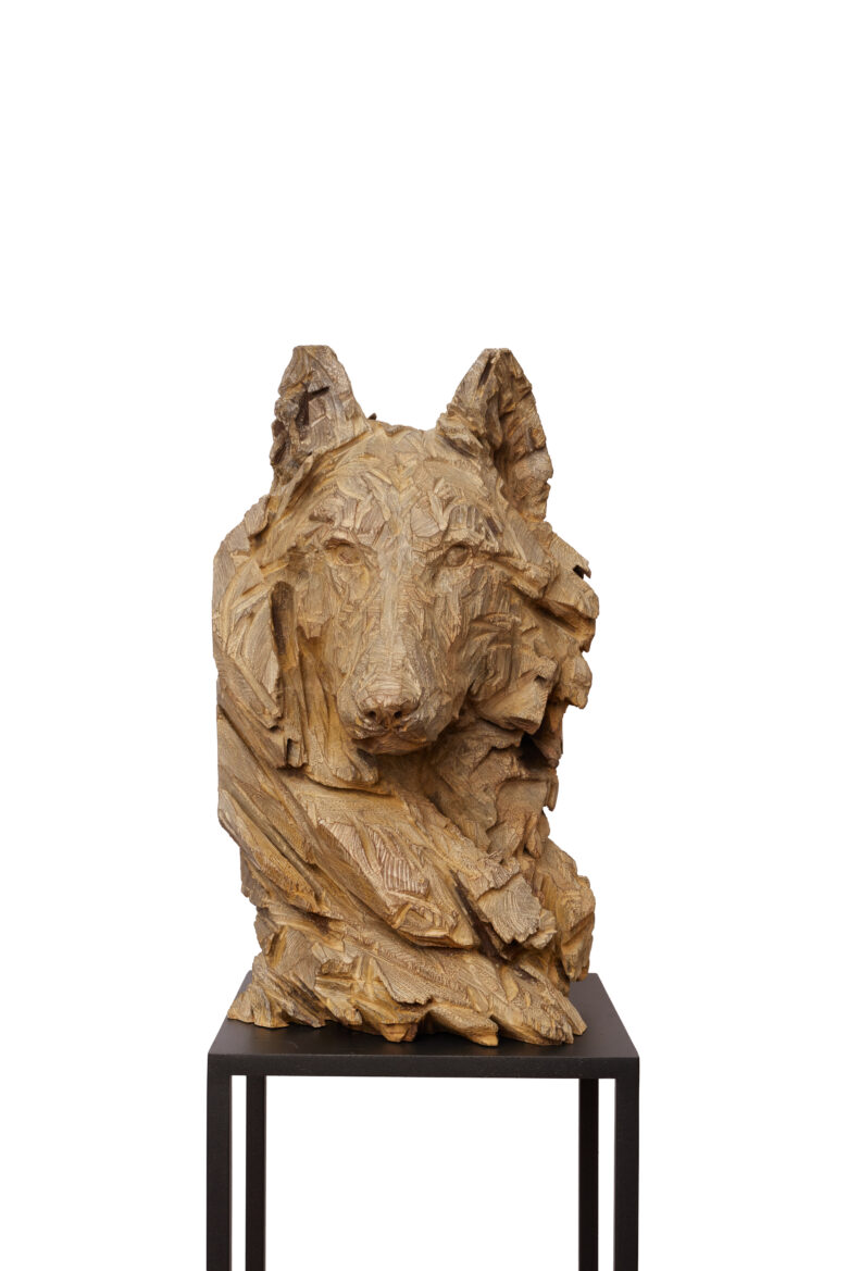 Jürgen Lingl - Stormy Wolf