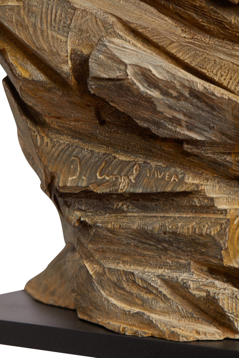 Jürgen Lingl - Stormy Wolf